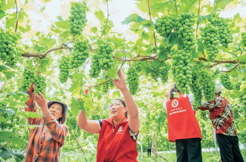 轉(zhuǎn)存圖片